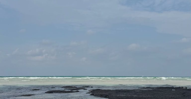 한국 f1 비자 신청